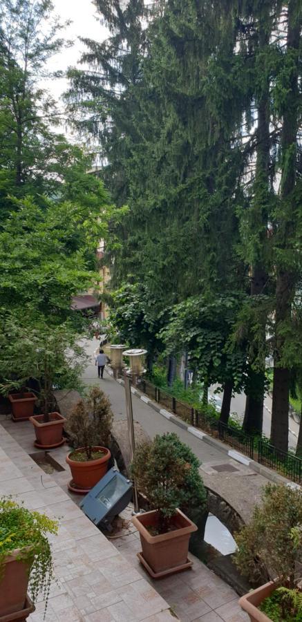 Rosa Villa Băile Olăneşti Extérieur photo