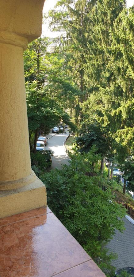 Rosa Villa Băile Olăneşti Extérieur photo