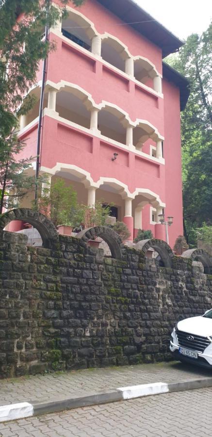 Rosa Villa Băile Olăneşti Extérieur photo